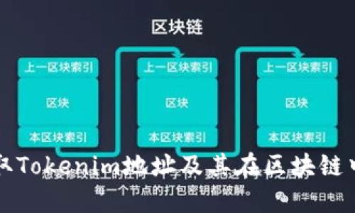 如何获取Tokenim地址及其在区块链中的应用