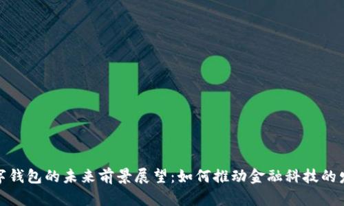 数字钱包的未来前景展望：如何推动金融科技的发展