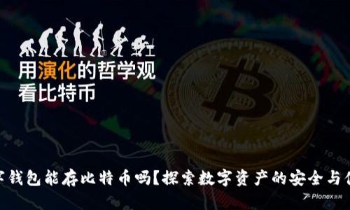 数字钱包能存比特币吗？探索数字资产的安全与便捷