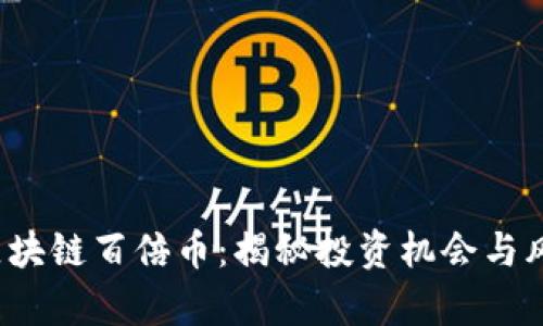 2018区块链百倍币：揭秘投资机会与风险分析