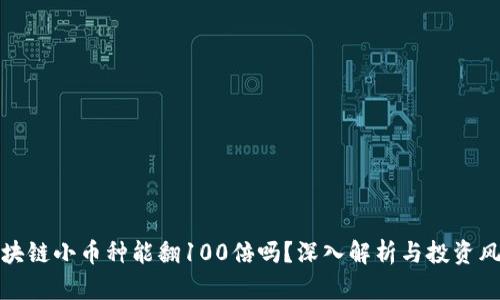 区块链小币种能翻100倍吗？深入解析与投资风险